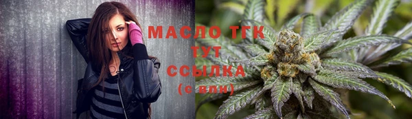 гашик Кулебаки