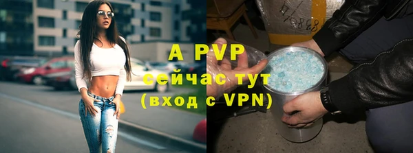 стафф Ладушкин