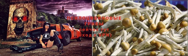 гашик Кулебаки