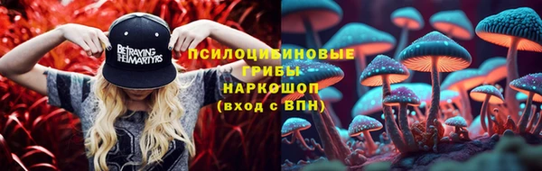 молекула духа Кукмор
