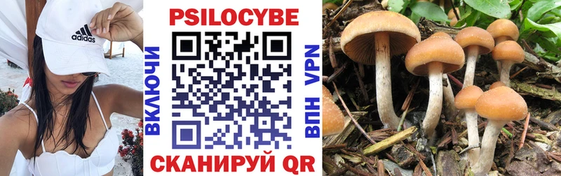 Псилоцибиновые грибы GOLDEN TEACHER Куса